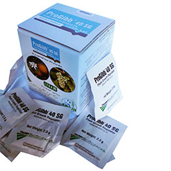 PROGIBB 40 "Confezione con 10 scacchetti da 2,5 gr"