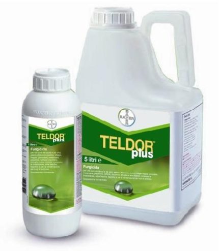 Teldor Plus Bayer fungicida liquido sclerotinie botrite monilia 1 litro